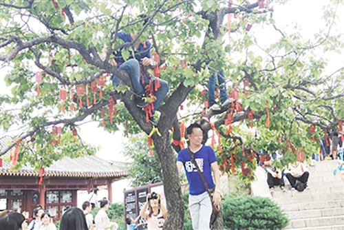 北京拟禁 不文明游客进公园