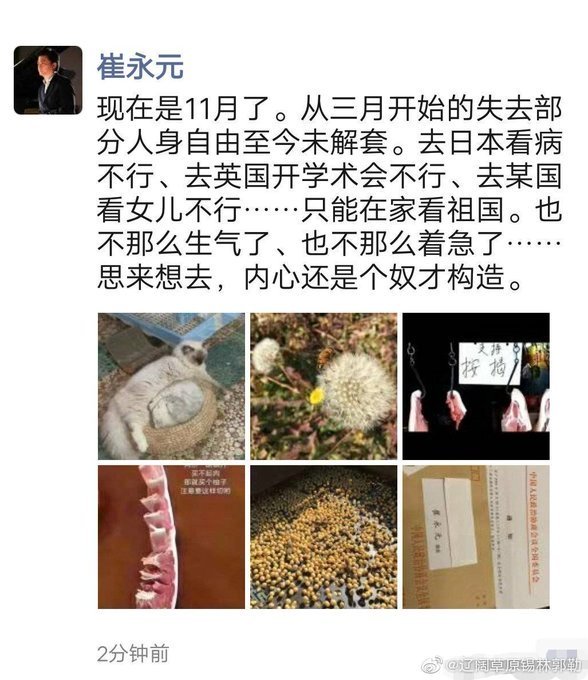 日前网络曝出,崔永元其实早已经处于半软禁状态。(网络图片)