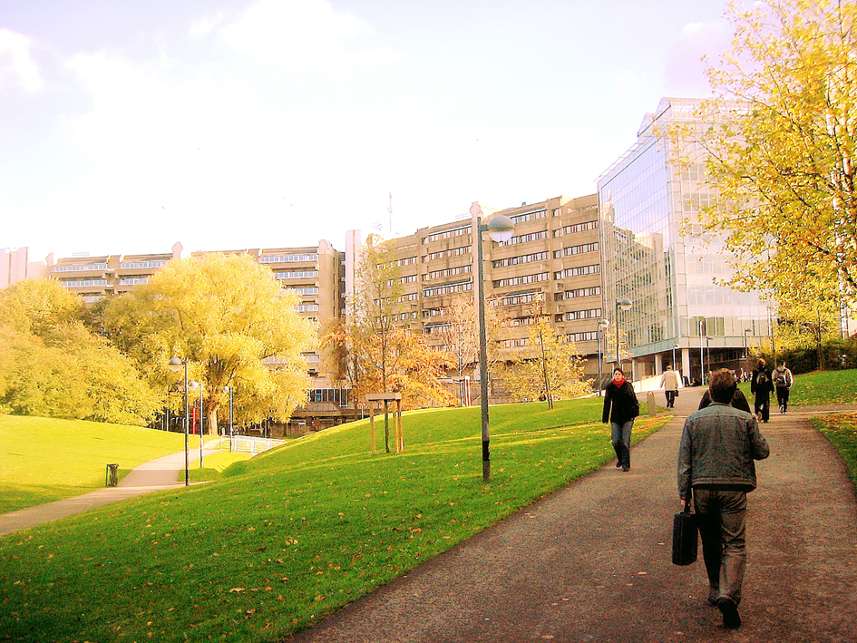 布鲁塞尔大学宣布关闭孔子学院