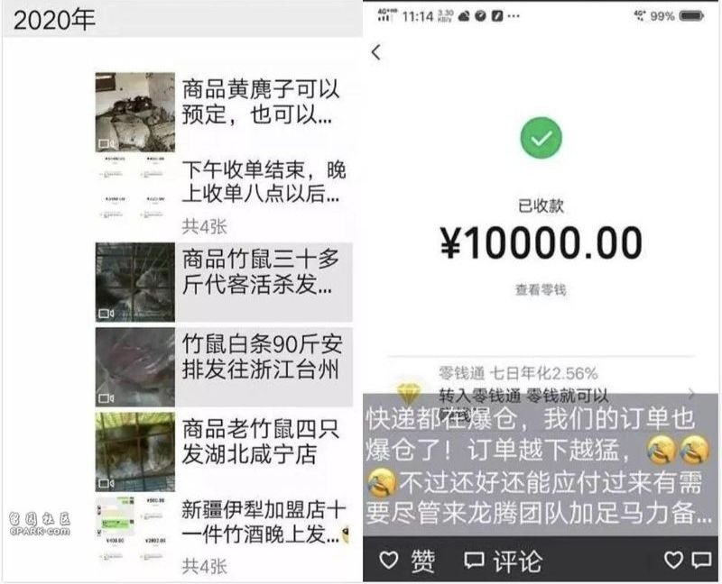 （网络截图）