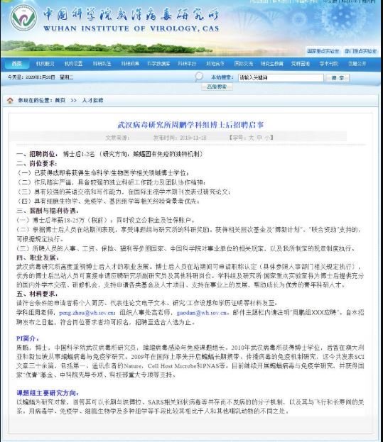 周鹏实验室招聘启事(图片来源:网页截图)