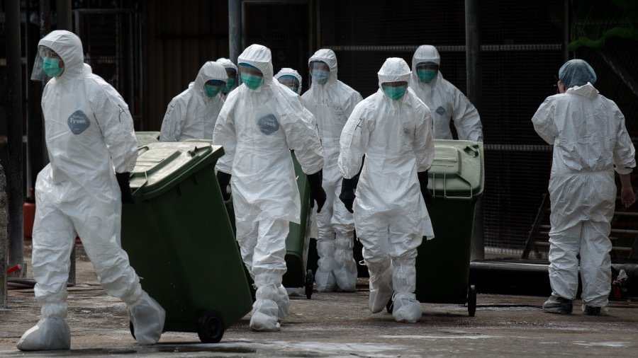 惊！武汉肺炎没完 湖南再爆H5N1禽流感 (图)