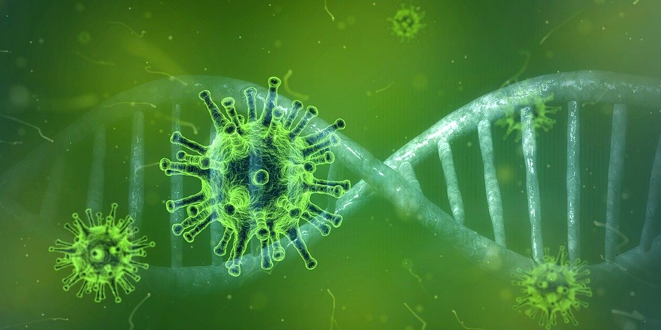 真相越来越近？传肺炎第一感染者来自武汉病毒研究所 (组图)