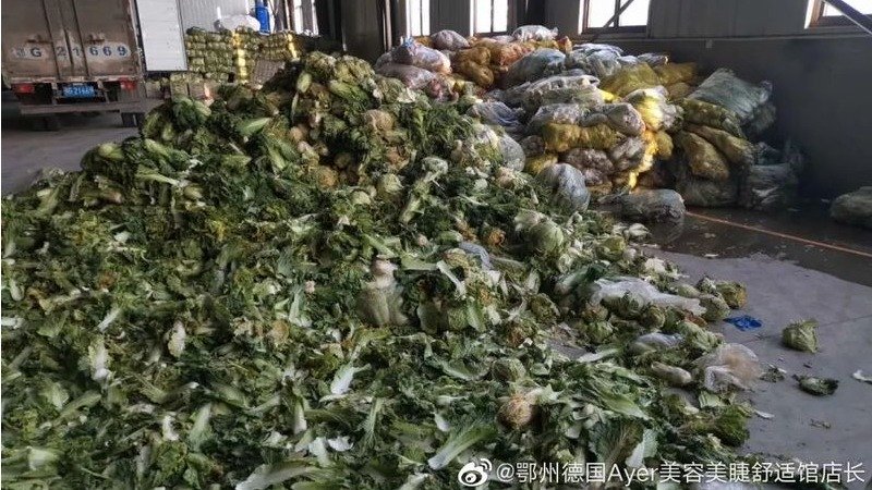 网友在微博爆料,贵州捐给鄂州的蔬菜烂在了仓库。(图片来源:微博截图)