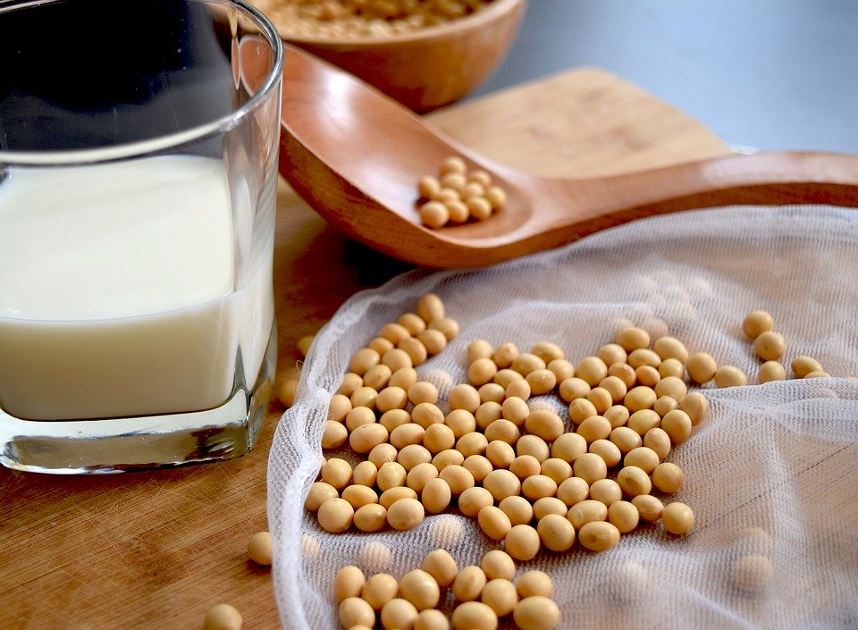 黄豆营养非常全面,高热量高蛋白,可以做成各种不同的食品。