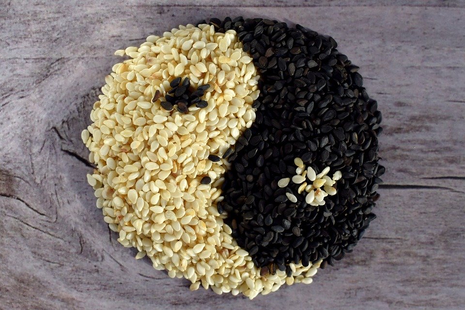 比豆类更适合储存的食物,是芝麻。芝麻在干燥环境下,装在罐里可以保存五十年到六十年