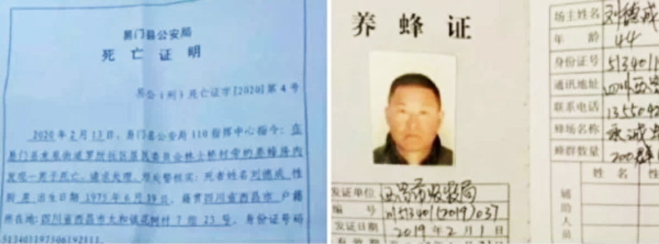 疫情封城：四川养蜂人 血本无归 绝望上吊