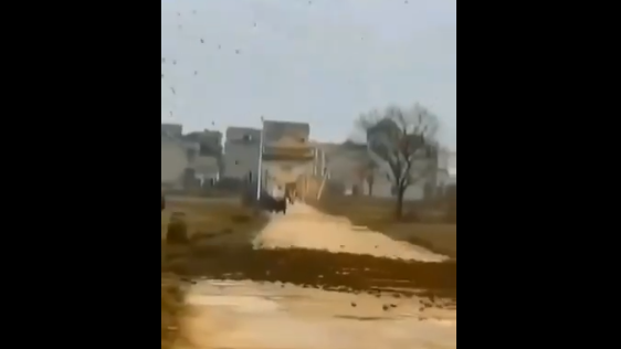 网友直击：江西惊现数万只麻雀拦路 (视频)