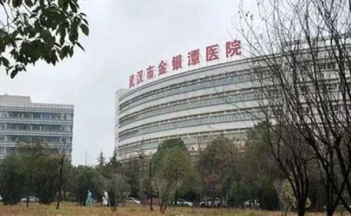 武汉骇人内幕：书记院长全外行制造大量武肺患者 （组图）
