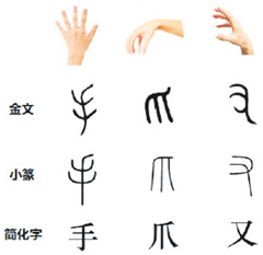 悠游字在说“手”