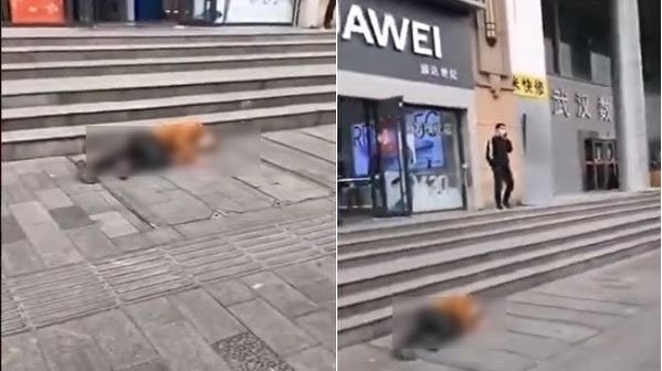 一名身穿棕色外套、黑色长裤的男子倒卧在街头。(图片来源:视频截图)
