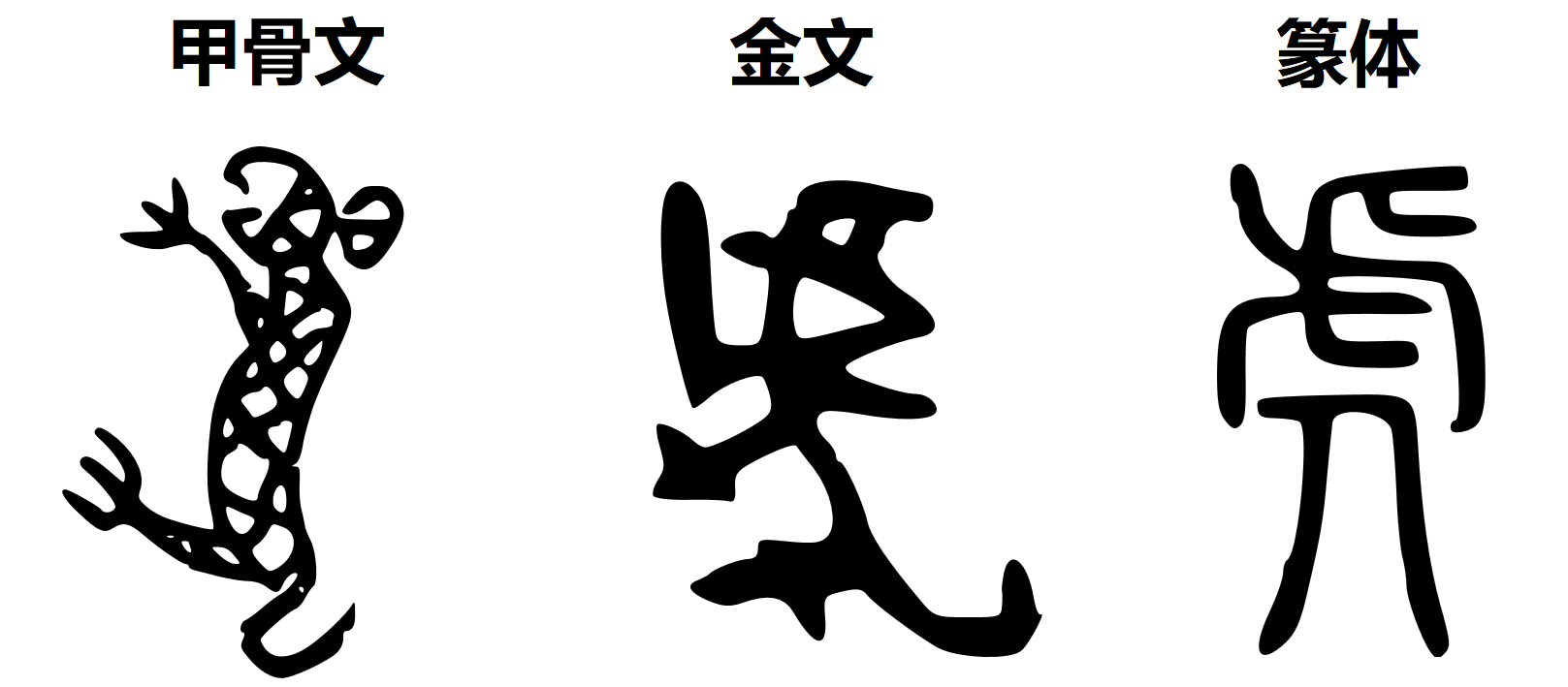 悠游字在说“虎”