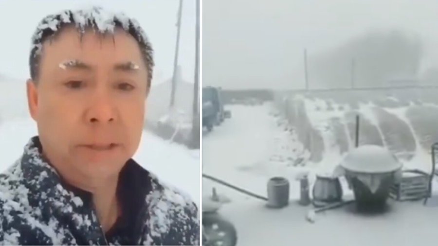 黑龙江37年罕见暴风雪 四月雷雪预兆着什么？(图/视频)