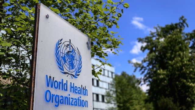 世卫驻华代表终于发声 中国屡拒他们参与病毒起源调查 (图/视频)