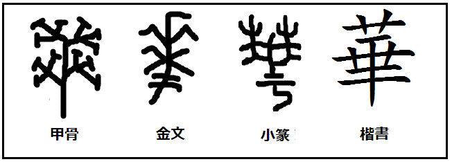 悠游字在说“花”