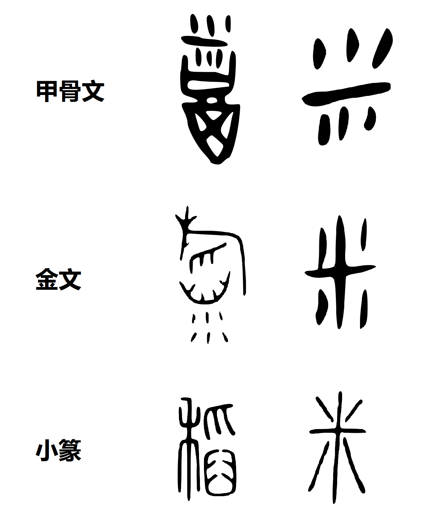 悠游字在说“稻米”