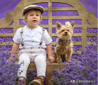 超萌小帅哥携爱犬游遍欧洲融化全网 他们活成了我们最期望的样子 (组图)
