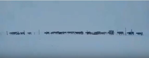 南方水灾未解 新疆伊犁等地6月飞雪 (视频/图)