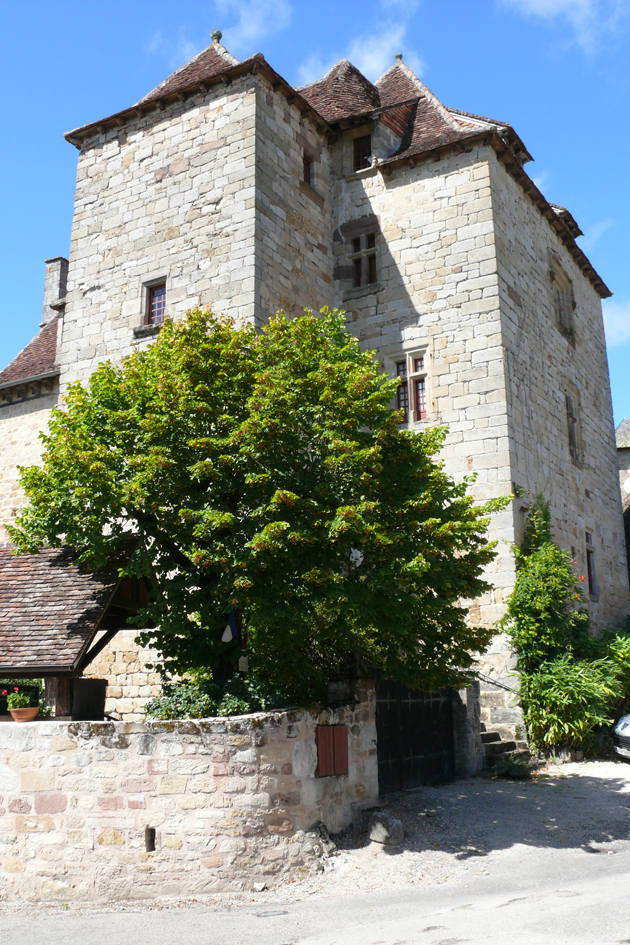 若安尼城堡（Christophenoelneuffr/维基百科CC BY-SA 3.0）