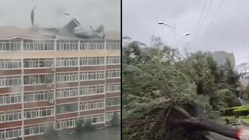 “ 美莎克 ” 强风暴雨袭吉林 吹翻屋顶 大树连根拔起 (视频/图)