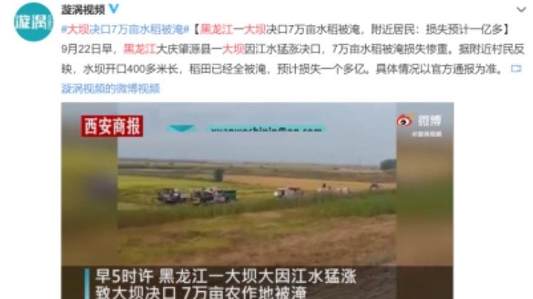中共 “ 农民丰收节 ” 黑龙江大坝决堤   7万亩农田被淹损失过亿 (视频/图)