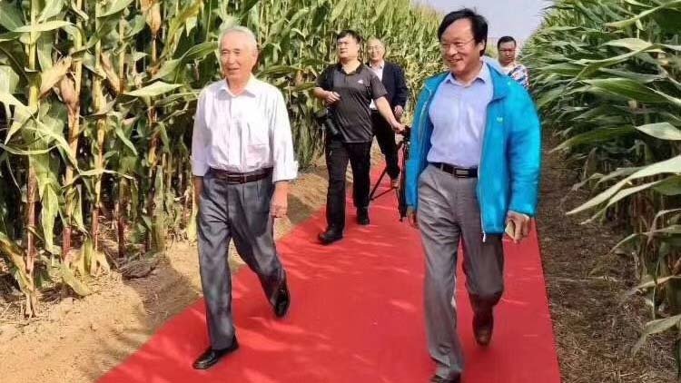 中共专家组踩红毯考察庄稼地  网络炸锅 (图/视频)