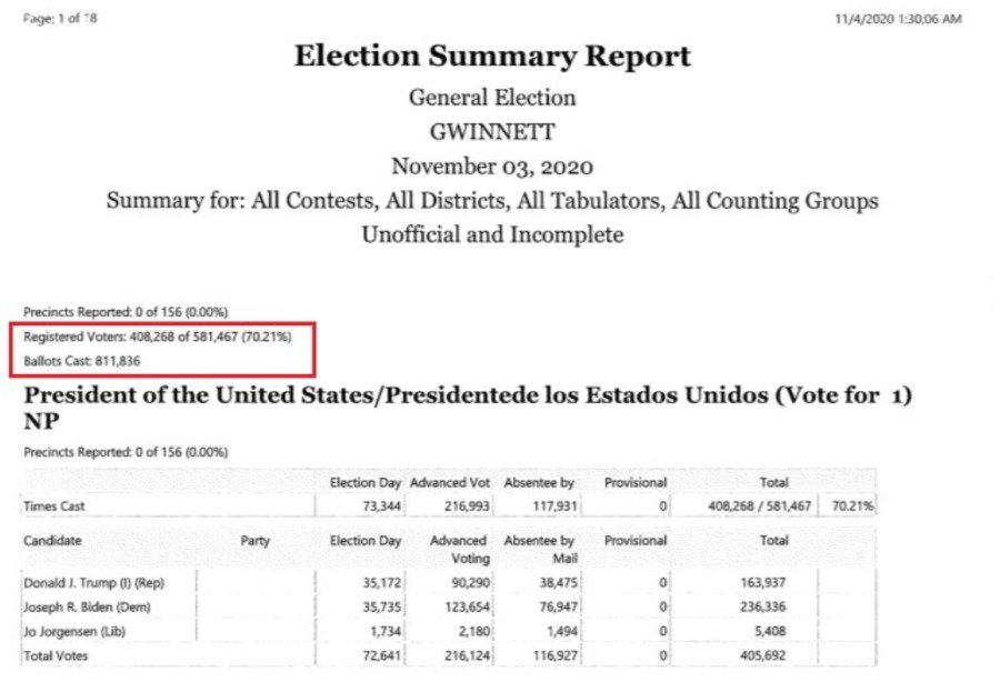 乔治亚洲州Gwinnett County一份选举细节报告表。(网络截图)