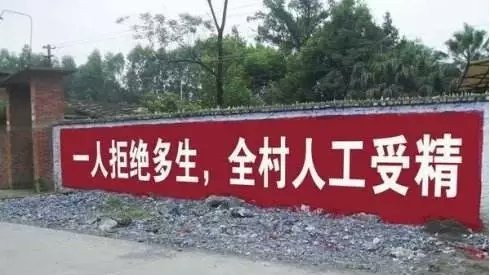 中共转向强制多生？农村现惊人标语 (组图)