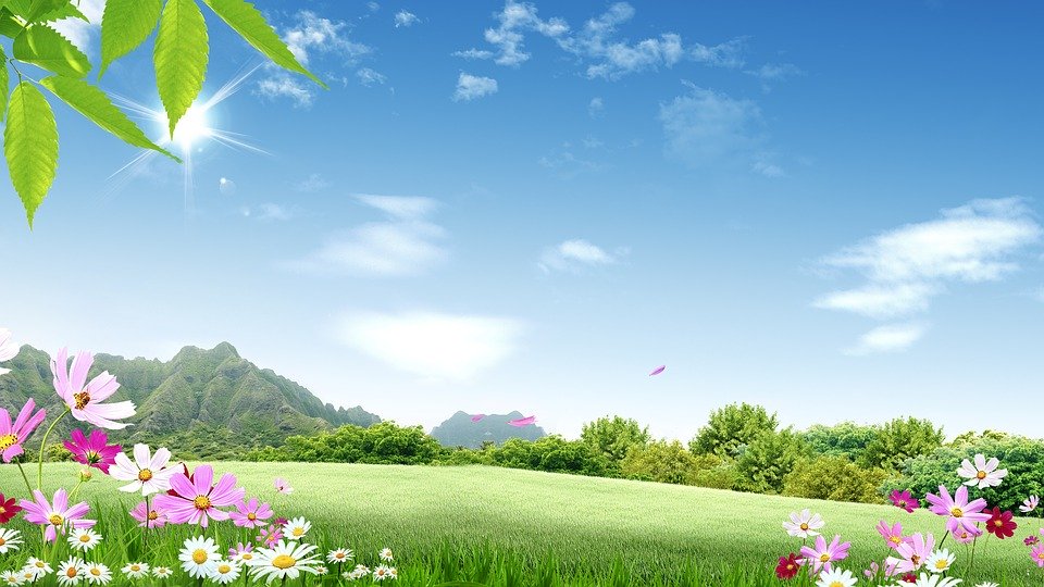 如何做到淡泊大度？只需去掉妒忌心 (图)
