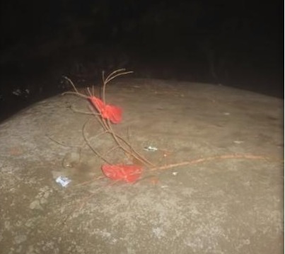 图片可见，一根树枝绑着红色的塑料袋以及几张洒在岩石上的糖果包装纸，但该图片是否要告诉人们什么？还是随手乱拍？（图片来源：巴拿马警方）