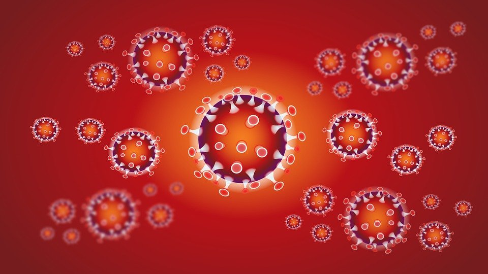 变种病毒又变异  科学家：正极速传播 (图)