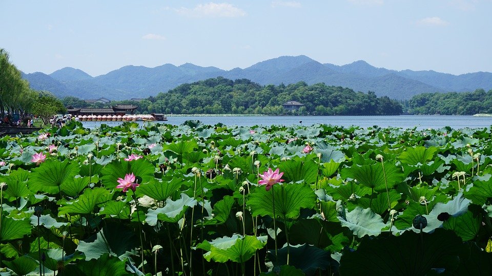 中国人的10大禁忌,你知道几个?(图片来源:Pixabay)