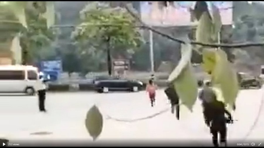 陆女拼死 “ 告御状 ” 习近平车队扬长而去 (视频/图)