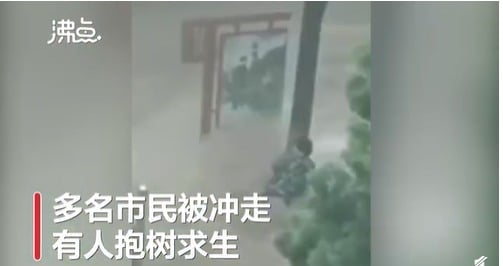 河北有民众抱树自救,还有车辆被激流冲走。(图片来源:视频截图)