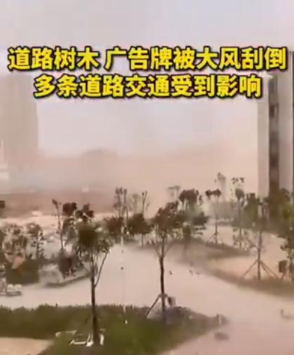 图片来源：视频截图