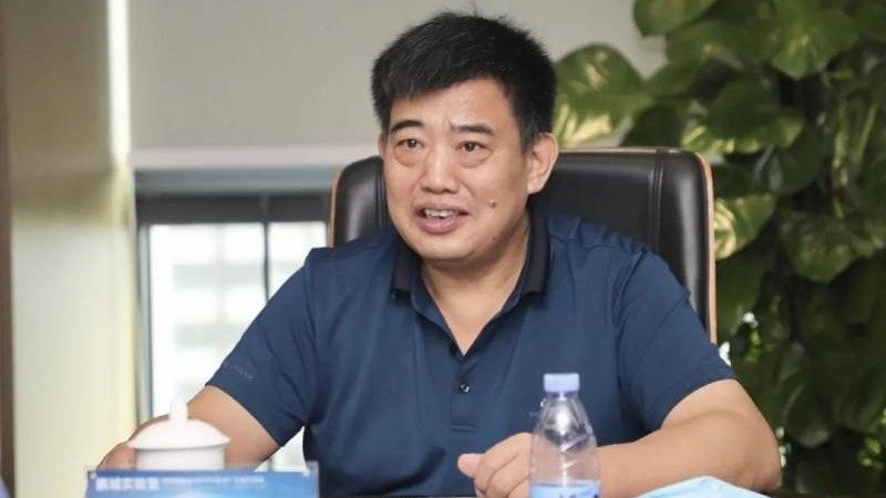 2021年8月6日,中共文化央企华录集团总经理张黎明被查。