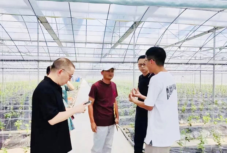 网络上热传的照片显示，马云头戴一顶白色小帽，身穿枣红色T恤及浅灰色休闲长裤，正在一个大型的蔬菜棚内四处查看，并与另外几名陪同他查看蔬菜大棚的员工交谈。