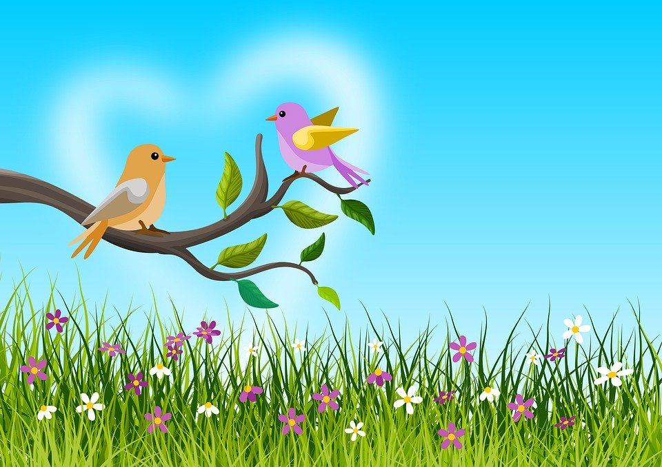 每一个懂得尊重别人的人,都值得被尊重。(图片来源:Pixabay)