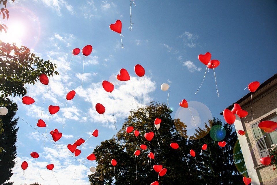 (图片来源:Pixabay)