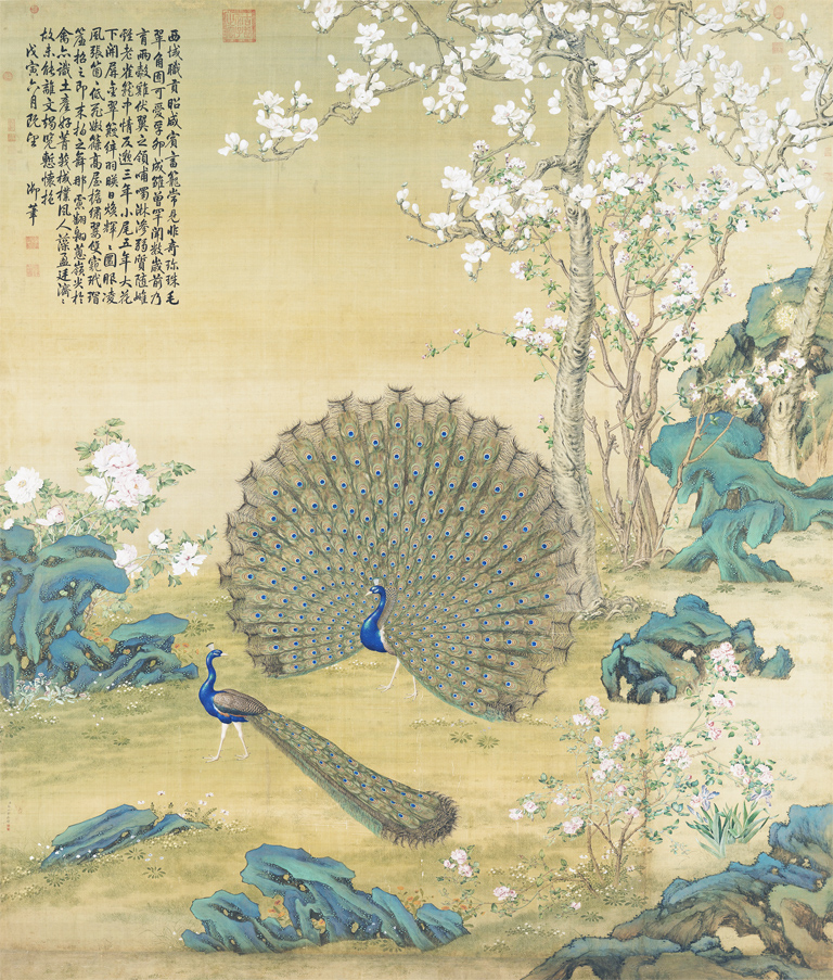 《孔雀开屏图》,画幅纵328cm,横282cm,现收藏于国立故宫博物院。作品绘于白绢上,一只开屏的孔雀立于玉兰花树下,另一只孔雀立于它之前,左侧有几株牡丹,画幅左上方有乾隆御题七古一首。(郎世宁/Wikipedia/公有领域)