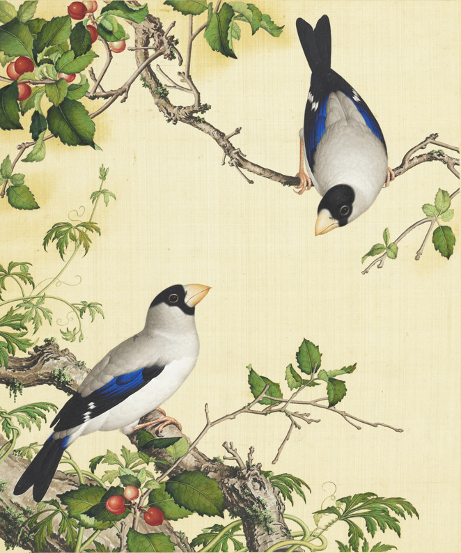 《樱桃桑鸤图》,画幅纵33.3cm,横27.8cm,现收藏于国立故宫博物院。(郎世宁/Wikipedia/公有领域)