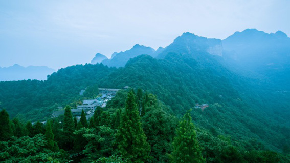 (Adobe Stock)