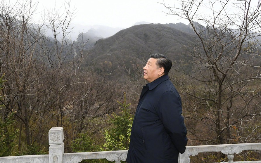阿波罗网