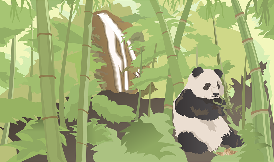 竹与梅、兰、菊并称为“四君子”。(图片来源:Pixabay)