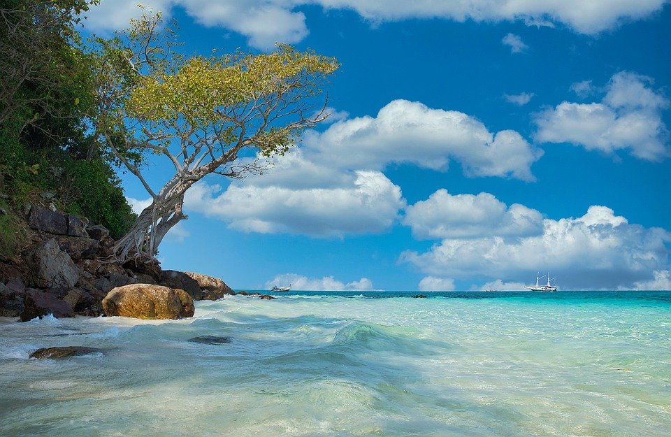 (图片来源:Pixabay)