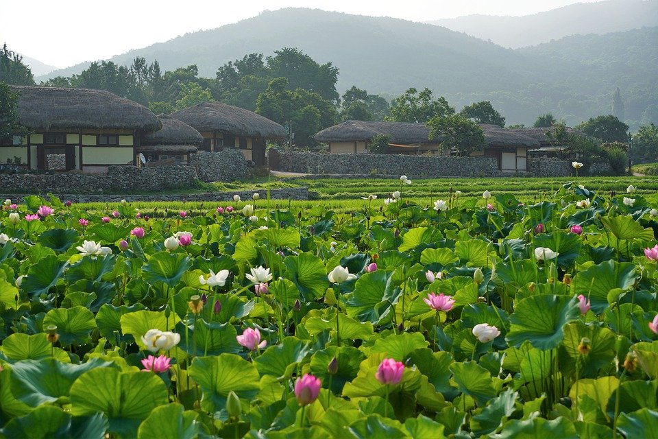 (图片来源:pixabay)