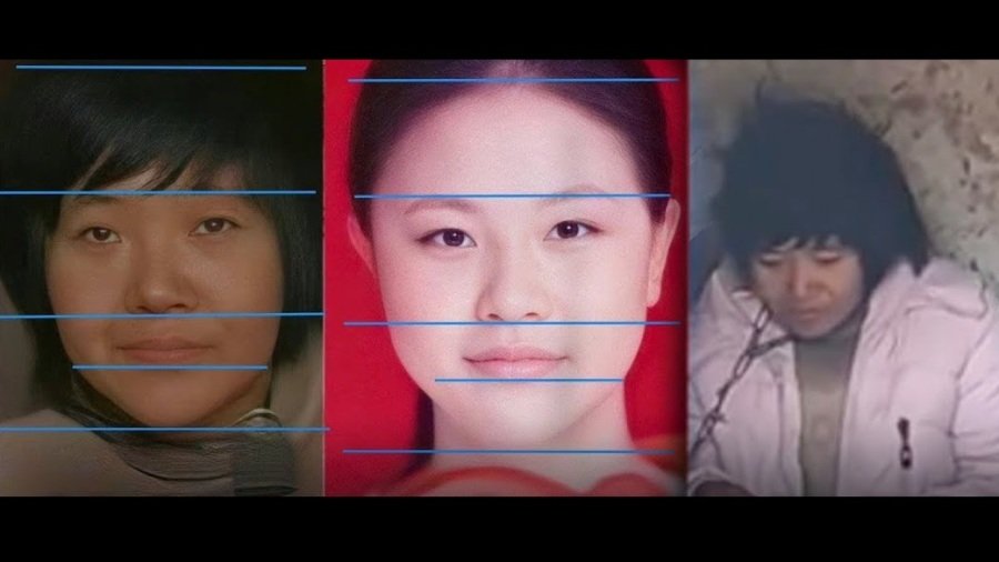 “徐州八孩母亲杨某侠事件”持续发酵,引发国内外舆论海啸。(图片来源:视频截图)