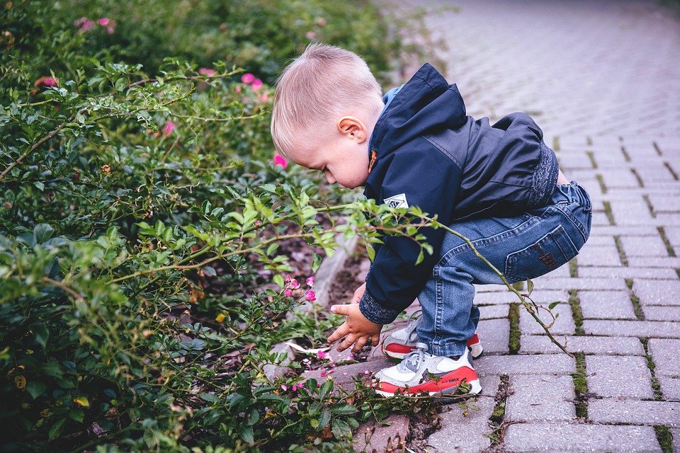 亿万富翁遇到了小男孩,震撼所有人心。(图片来源:Pixabay)