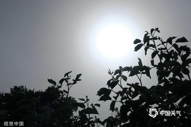 北京出现“蓝太阳”,引发关注。(图片来源:微博截图)