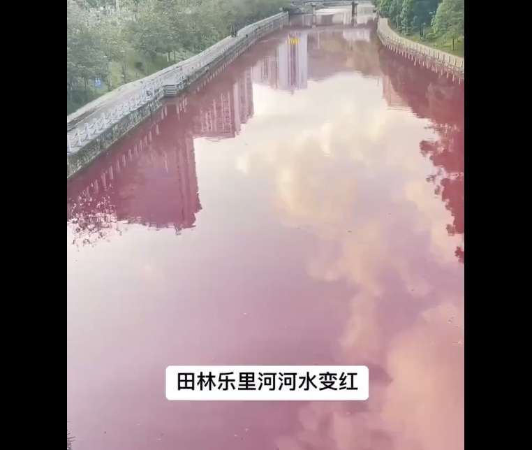 广西百色乐里河一夜变成红。(图片来源:视频截图)
